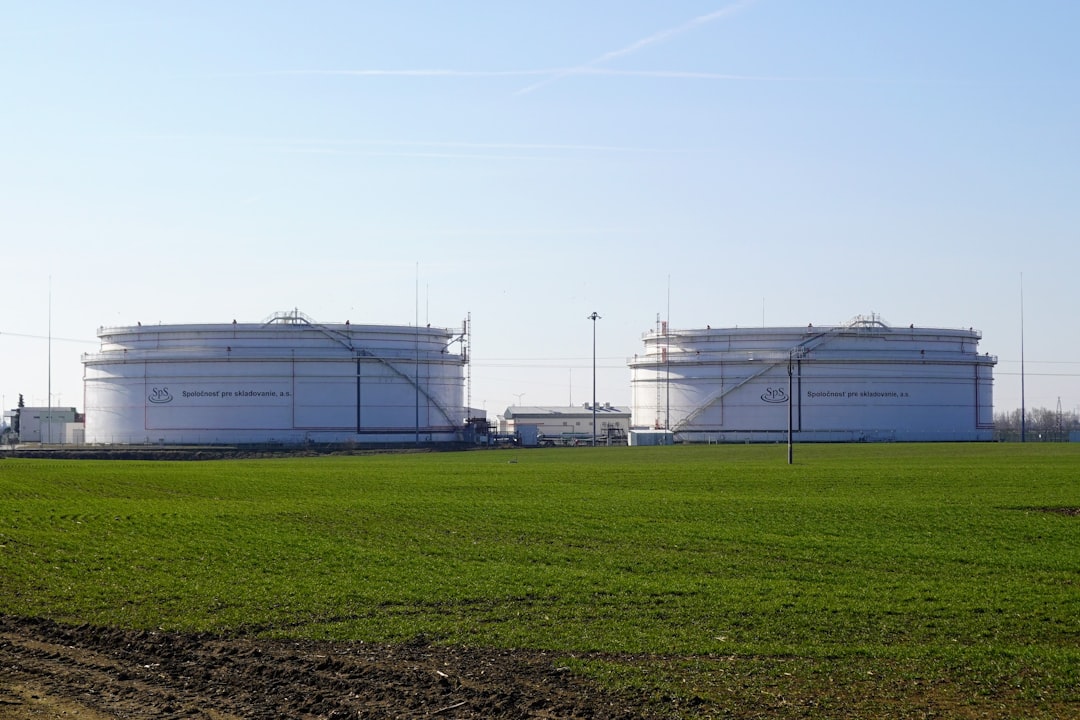 High Feedstock Costs